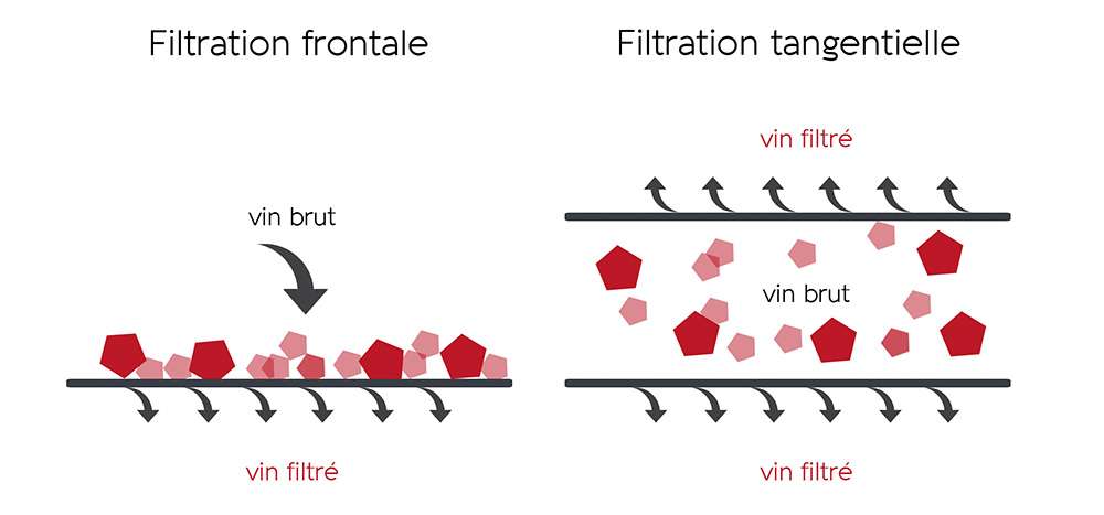 Filtration tangentielle du vin