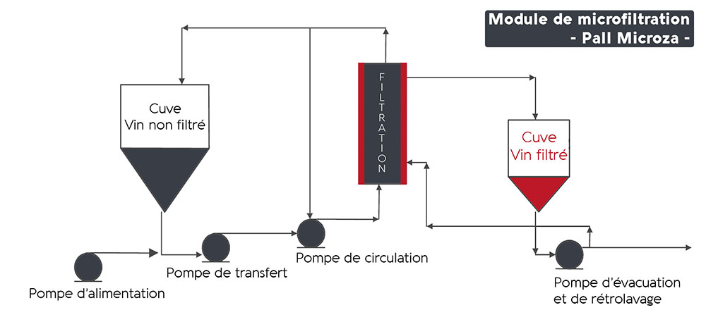 Filtration tangentielle du vin